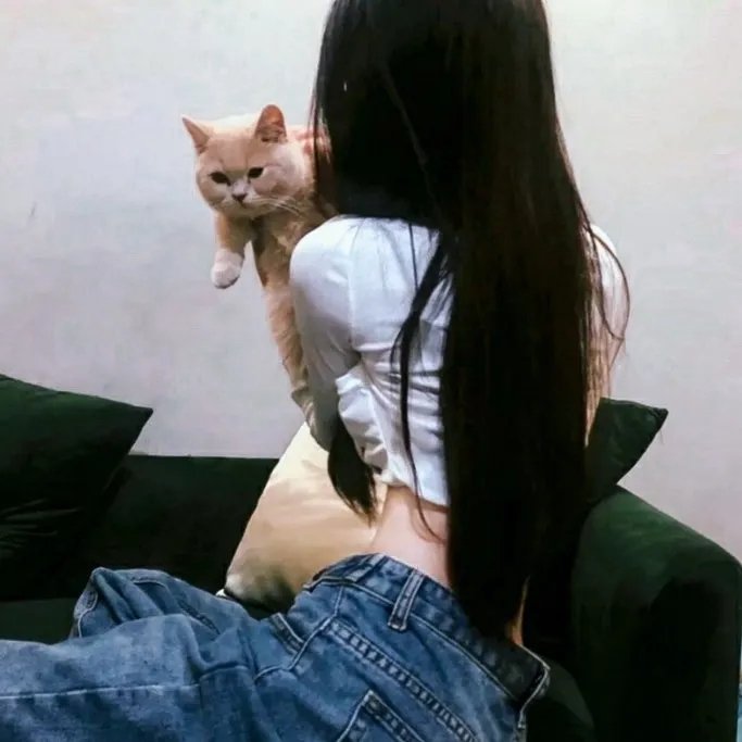 圣诞狗狗救援
