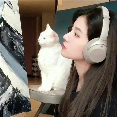 大人物拿破仑第一季